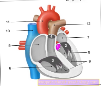 Obrázek aortální chlopně