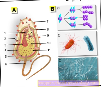 Ilustracija bakterij