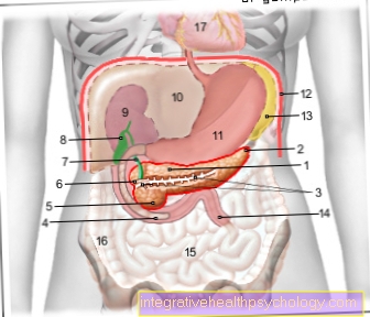 Figura páncreas