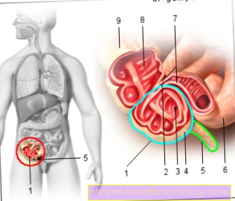 Figure appendix