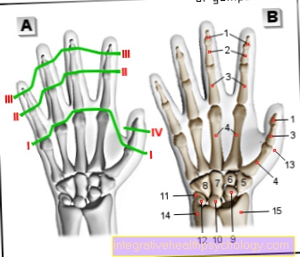 Figura articulación del dedo