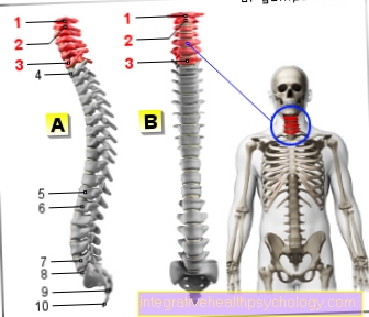 Figure cervical spine