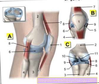 Obrázek kolenního kloubu