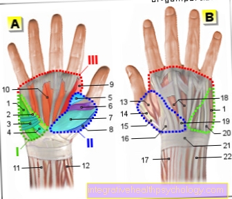 Figura mușchii - mâna