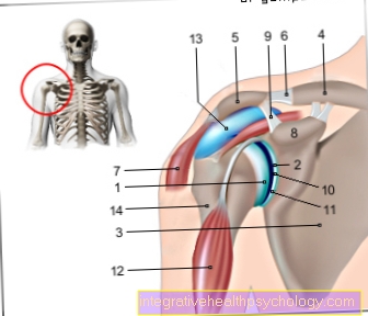 Figure shoulder joint
