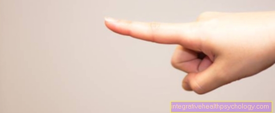 Index finger anatomy