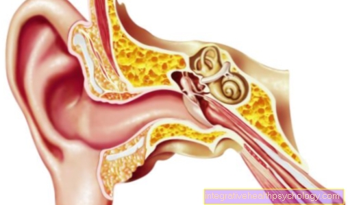 Het menselijk oor