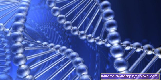 Deoksyribonukleinsyre - DNA