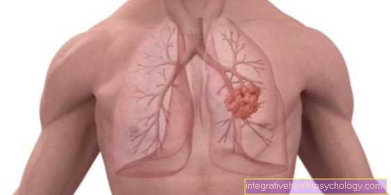 Dýchací svaly