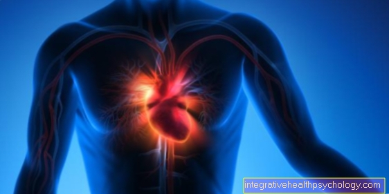Širdies ir kraujagyslių sistema