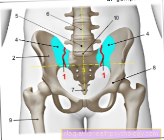 ISG - The sacroiliac joint