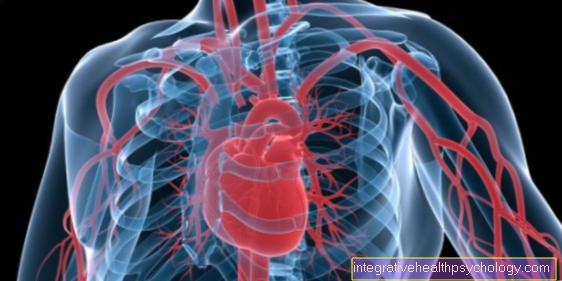 Types of arteries