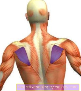 Dolní kostní sval
