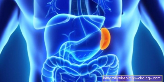What functions and tasks does the spleen have?