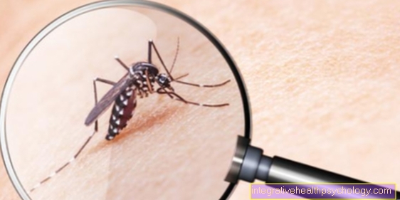 Alergická reakce na kousnutí komára