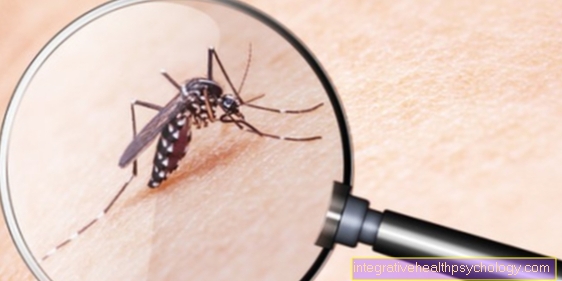 Домашні засоби від укусів комарів