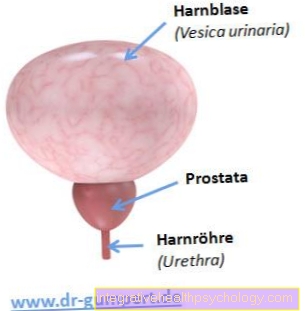 Examination of the prostate