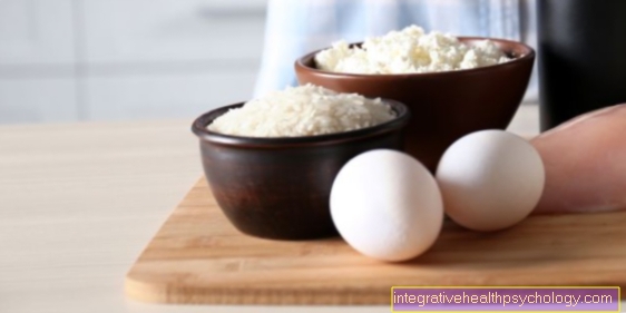 Hvor høyt er proteininnholdet i egget?