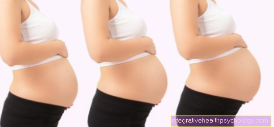 Proses kehamilan