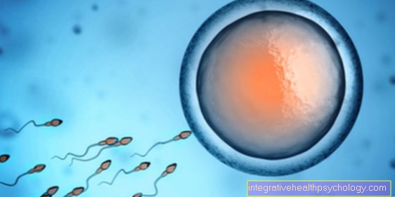 Implantácia vaječných buniek