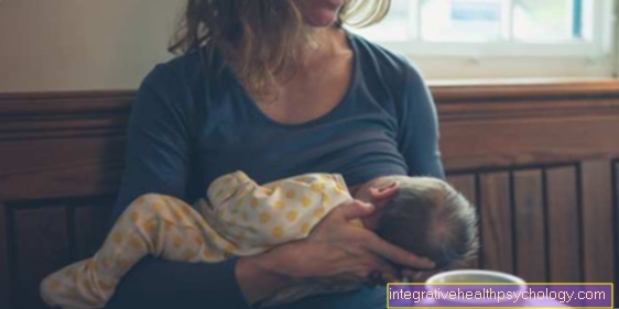 Helpt bij het geven van borstvoeding