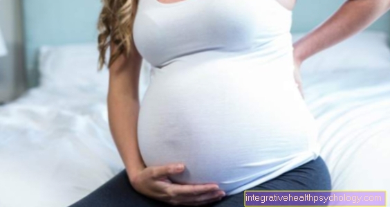 Când crește burtica în timpul sarcinii?