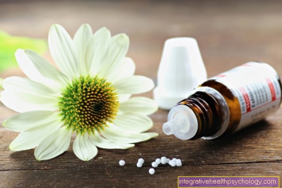 Homeopati for en bihulebetennelse