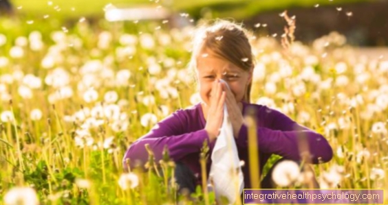 žiedadulkių alergija