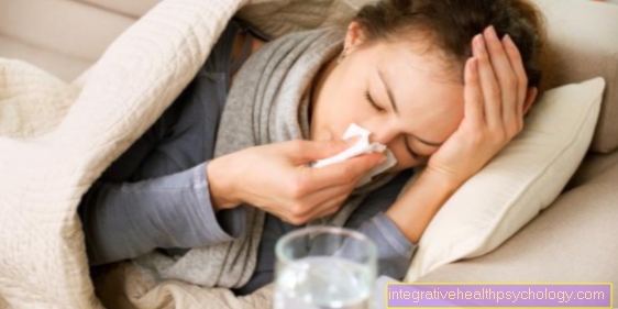 Vasaras gripa