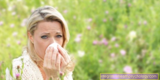 Symptoms of hay fever