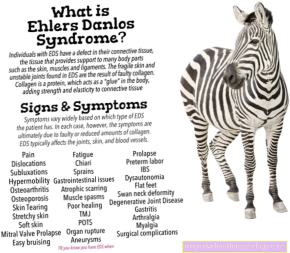 Ehlers-Danlos sindroms III tips