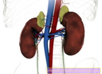Kidney Infarction - Dangerous or Curable?