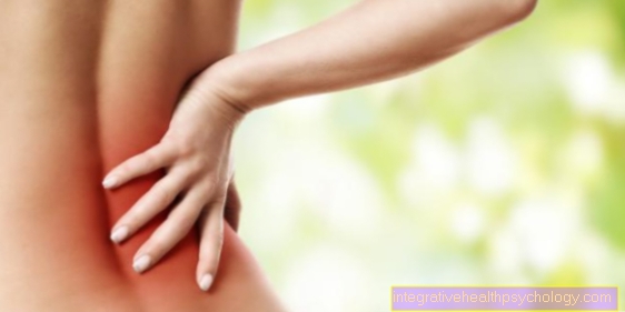 Kidney pain and back pain