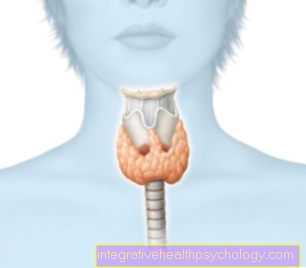 Thyroid Cancer Symptoms