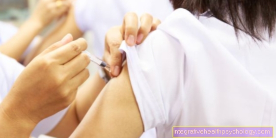 Vacunación contra la fiebre tifoidea