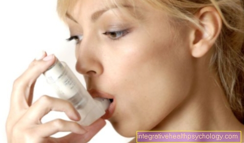 Causes of asthma