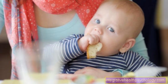 When are babies allowed to eat bread / crust?