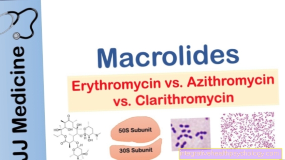 Erythromycin a makrolidy