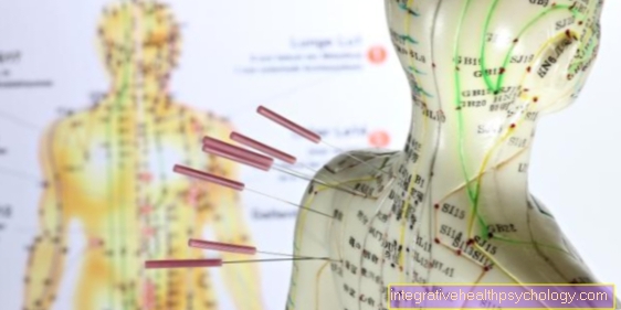 Acupuncture meridians