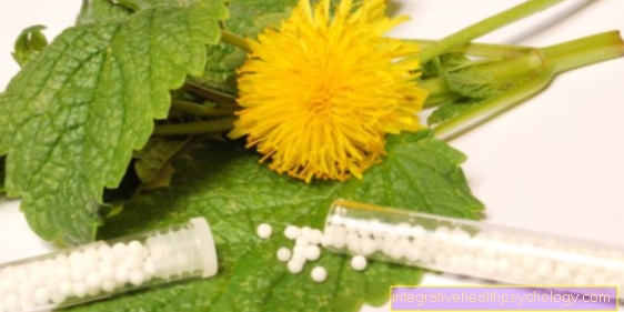 Homeopati untuk keradangan payudara