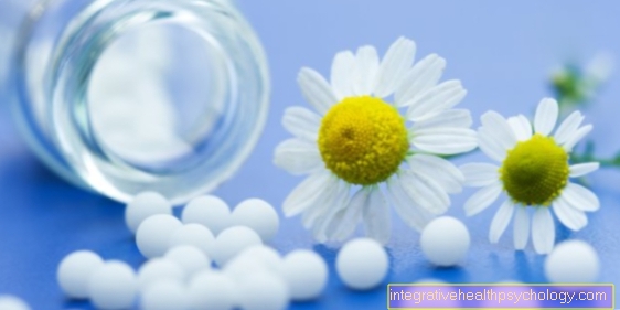 Homeopatie pro earache