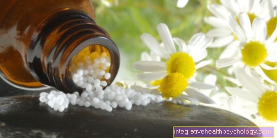 Sırt ağrısı için homeopati