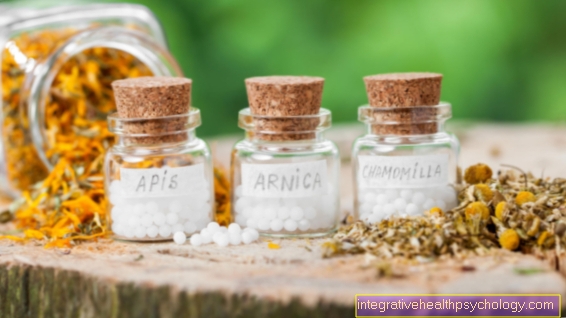 Homeopatía para vómitos y náuseas.