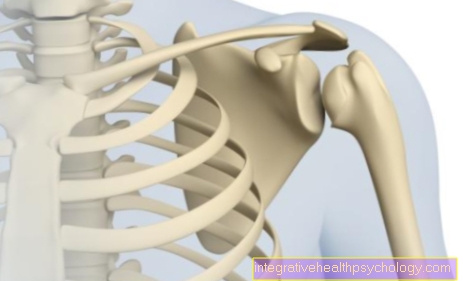 The shoulder prosthesis