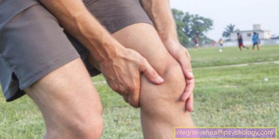 Guérison d'une déchirure du ligament interne du genou