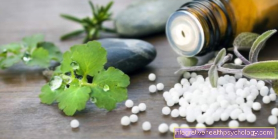 Homeopati for saddelleddsartrose