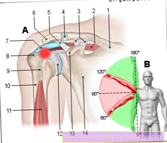 תסמונת פגיעה בכתף ​​- טכניקות ותרגילים פיזיותרפיים