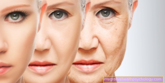 Aging process in humans
