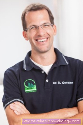 Appointments with Dr. Nicolas Gumpert
