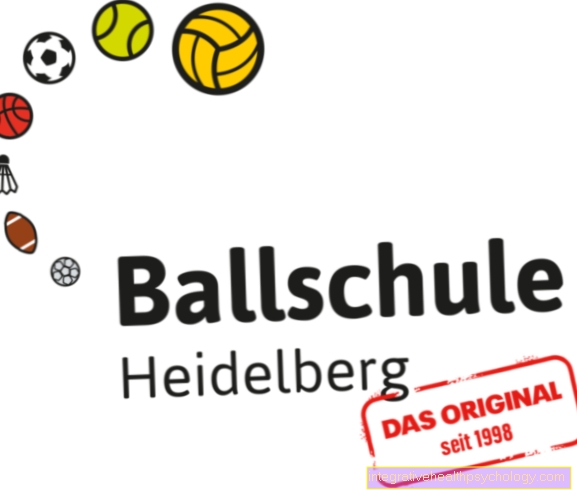 हीडलबर्ग बॉल स्कूल